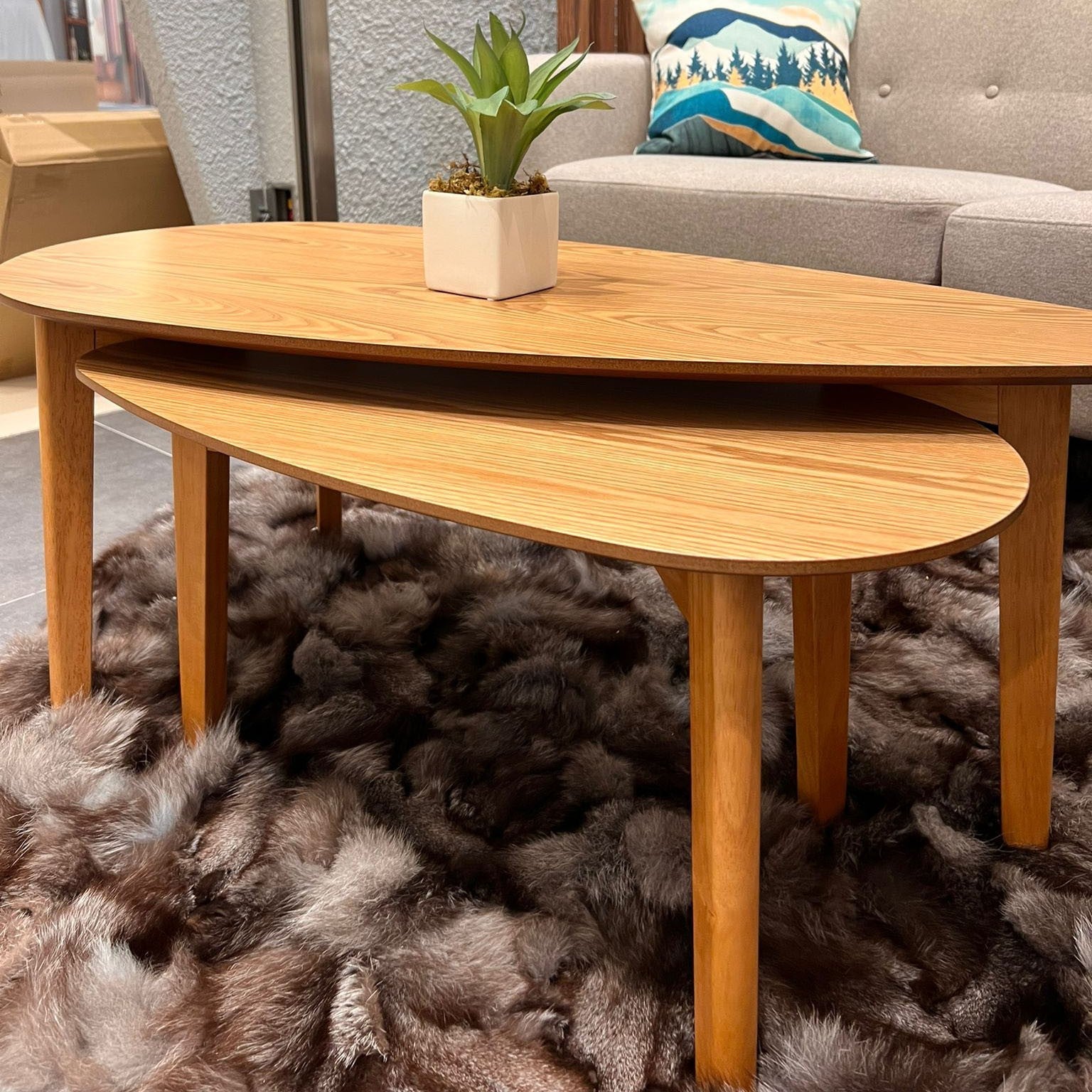 Parva Coffee Table